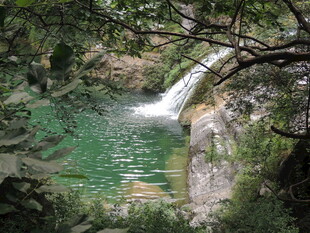 山林间的碧绿清澈小瀑布