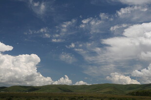 蓝天白云下的广袤原野