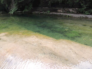 清澈见底的山间碧绿水潭