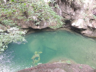 山间碧绿清澈的幽潭