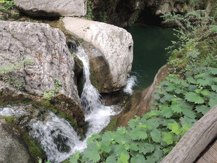 山间溪流旁的自然景致