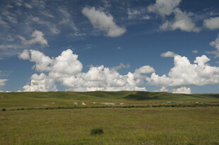 草原蓝天 云朵悠悠