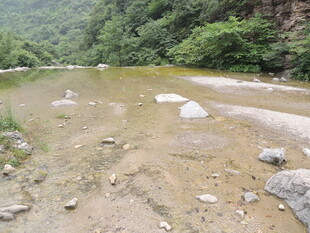 山间泥泞溪流与散落石块