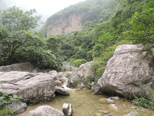 山间溪流旁的自然景致