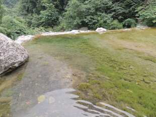 山间清澈浅潭 绿意环绕