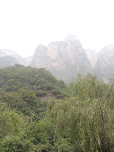 山峦叠翠间的葱郁景致