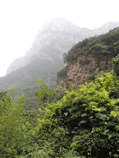 山间绿意盎然的秀丽景致