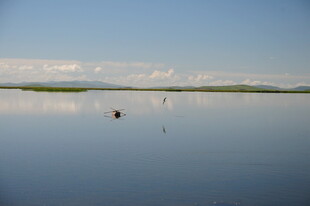 平静湖面中的孤独身影