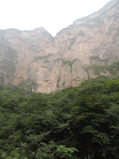 山峦叠翠间的葱郁植被