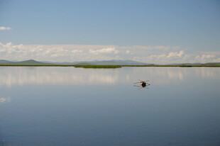 平静湖面中的孤独身影