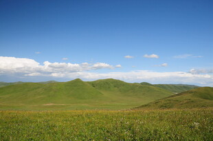 广袤草原 蓝天白云美景