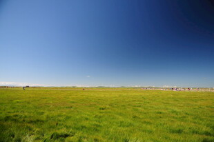 广袤草原 蓝天绿地美景