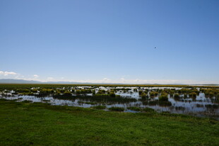 草原湿地风光