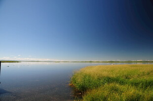 宁静湖畔草地风光