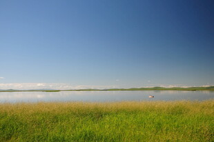 湖畔绿野 蓝天之下的宁静