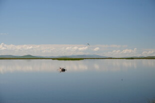 平静湖面小船悠悠