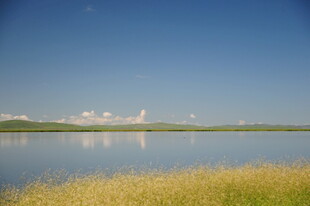 湖畔风光 蓝天草地映碧水