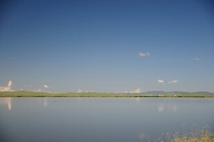 宁静湖面与远处风车景观