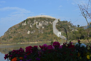 山景前绚丽多彩的花丛