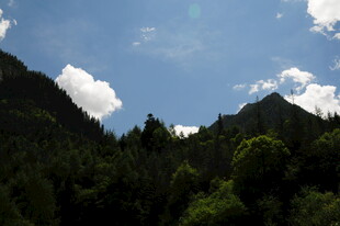 青山蓝天间的葱郁森林