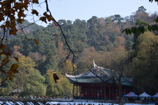 湖畔古亭 山林秋色美景