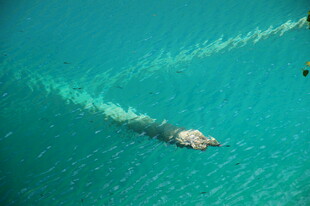 海上船只航行留下美丽航迹