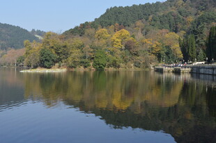 秋日湖畔美景