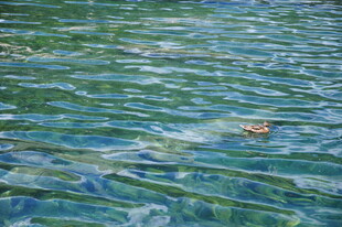 波光粼粼的清澈水面