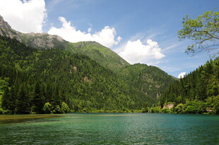 青山绿水间的静谧湖泊