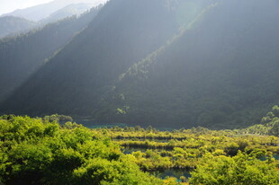 山间晨光下的翠绿田野