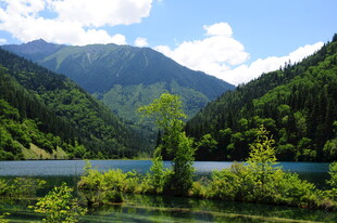青山绿水间的静谧湖泊