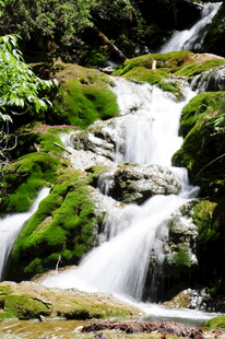 山间苔藓覆盖的潺潺溪流