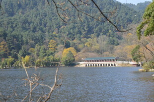 湖畔山林间的静谧景致