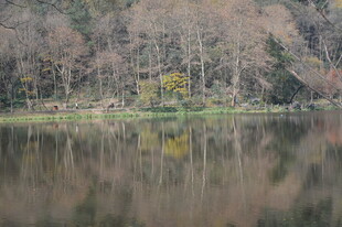 宁静湖畔的自然倒影景观