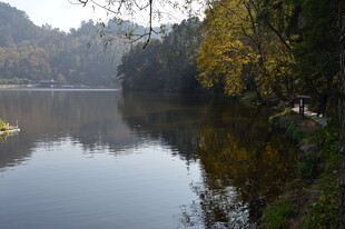 秋日静谧湖畔风光