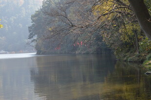 秋日河畔静谧风景