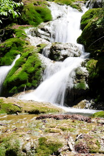 山间苔藓覆盖的潺潺小瀑布