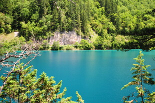 梦幻蓝湖 周边绿意盎然