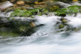 山间溪流潺潺 绿意盎然