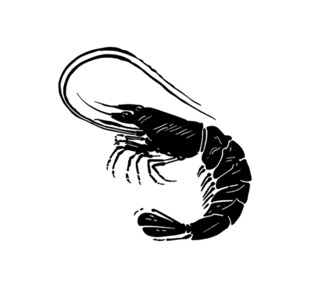 小龙虾