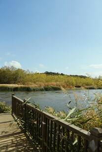 湖畔木栈道风景