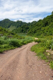 山间土路 绿意盎然的风景