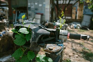 废弃机械上生长的绿植