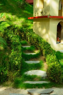 绿意盎然的石阶小径