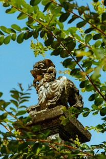 绿树间的威严石狮子