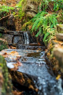 山间小溪潺潺流淌