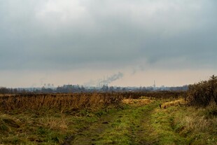 田野间的小径与 沉天空