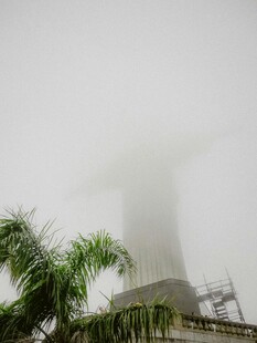 雾中建筑旁的翠绿棕榈树