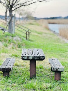 户外草地木质桌椅景观