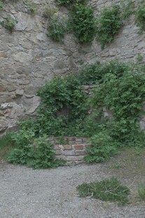 石墙边的绿植与石阶